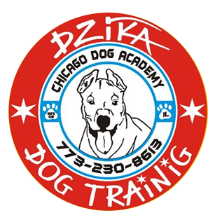 Dzika Dog Academy