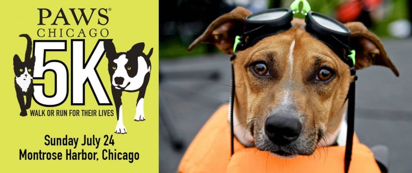 PAWS CHICAGO 5K WALK OR RUN FOR THEIR LIVES