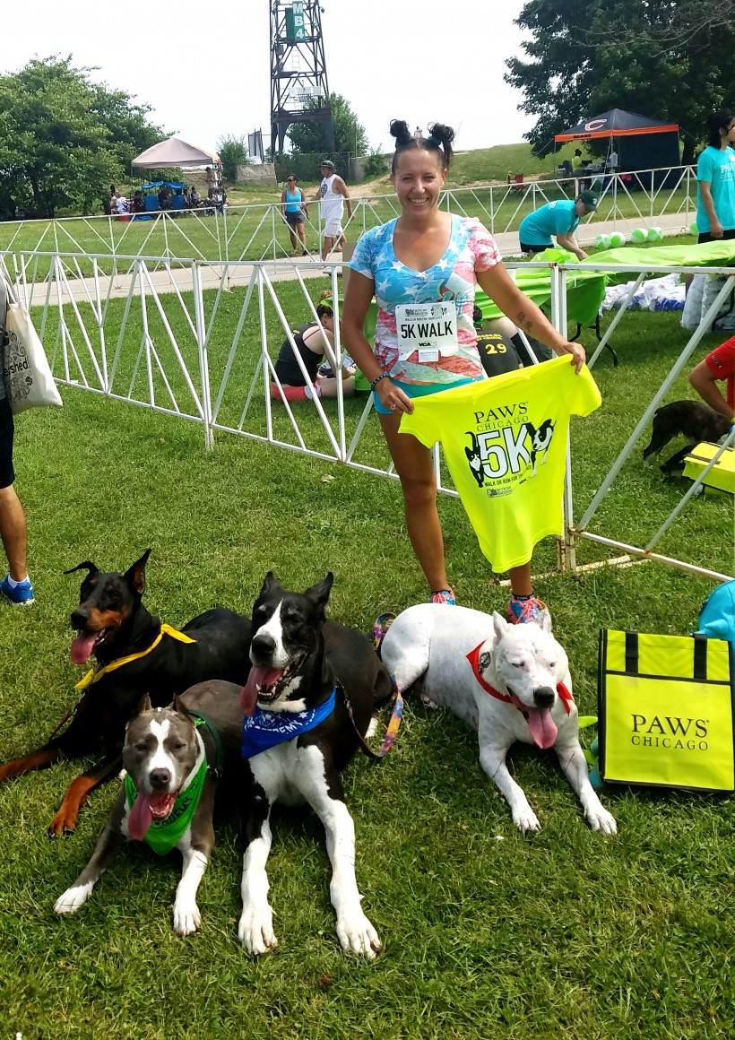 PAWS CHICAGO 5K WALK OR RUN FOR THEIR LIVES 2016